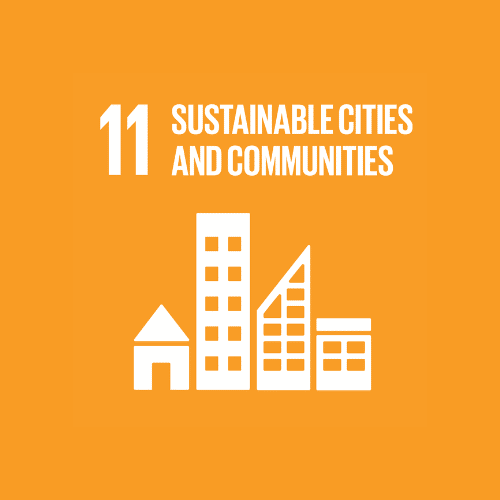 11 sustainale cities